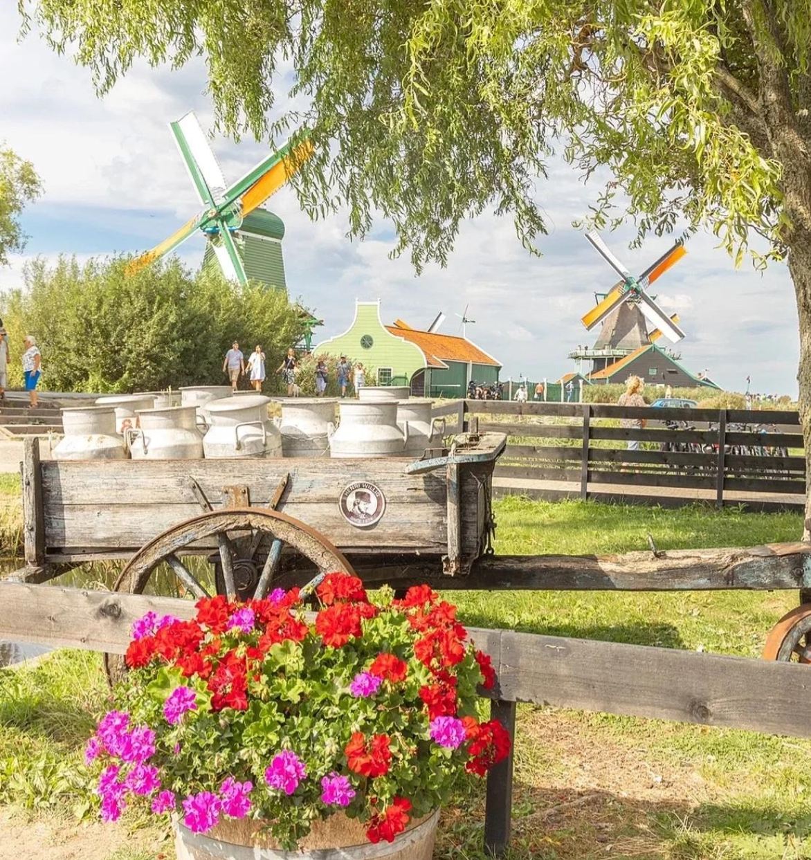 【荷蘭】阿姆斯特丹森林+贊瑟斯漢斯風車村+木鞋工坊等包車一日遊