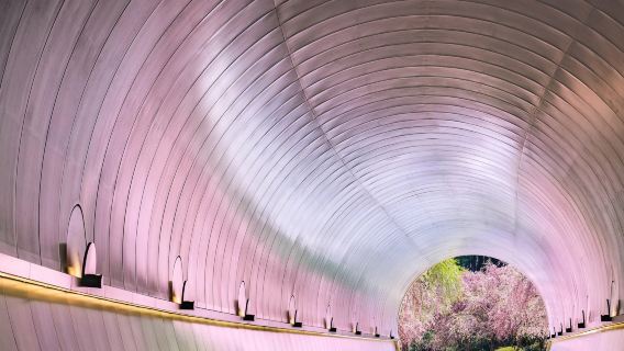 Excursión de un día desde Osaka: Castillo Hikone + Museo de Arte Miho + Fábrica de Baumkuchen