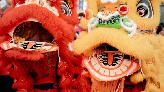 茂名高州包車10小時一日遊|打卡嶺南鳳凰園+粵龍山+仙人洞