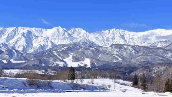 日本長野市白馬八方尾根滑雪場+倉下溫泉一日包車品質遊（東京出發）