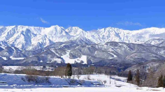 日本長野市白馬八方尾根滑雪場+倉下溫泉一日包車品質遊(東京出發)