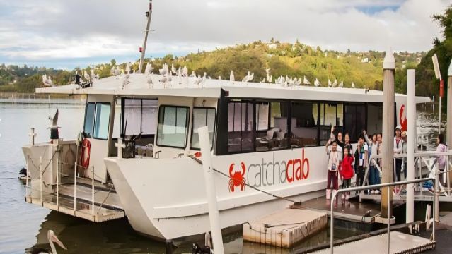 黃金海岸捉蟹+熱帶水果世界一日遊