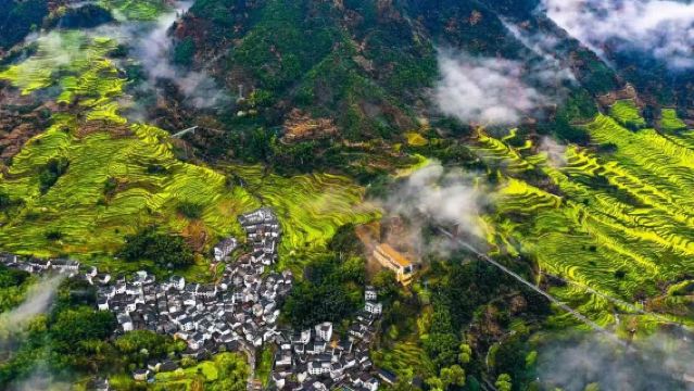 Wuyuan Huangling + Teluk Bulan + Kota Lama Xiangao (Berlepas dari Jingdezhen)