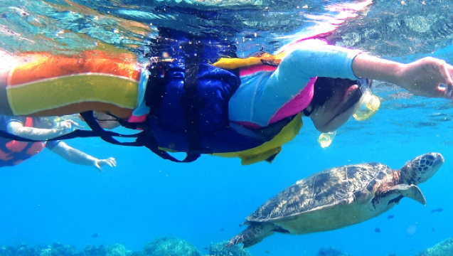 【往復専用乗船チケット付き】沖縄渡嘉敷島ワンデーツアー・シュノーケリング/ダイビング体験オプション