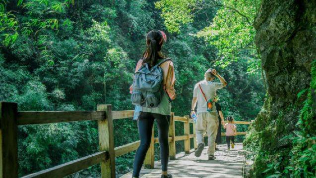 Chongqing Heishan Valley 1-day Tour ● Includes Admission Ticket + Chinese Guide ● Pickup from 5 Major Business Districts