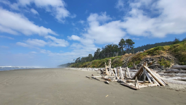 美國西雅圖-奧林匹克國家公園-行程可訂製【中文包車自由行】