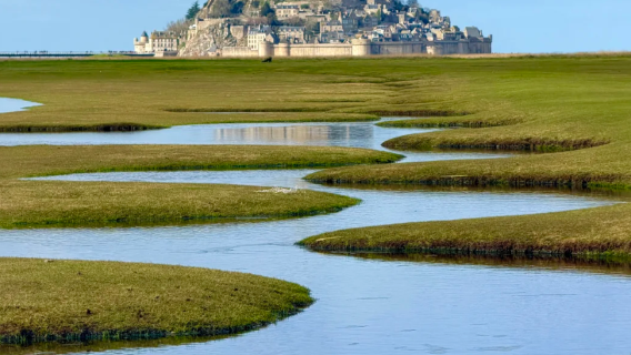 Lawatan sehari ke Mont Saint-Michel dari Paris, Perancis (sokongan pelanggan eksklusif)