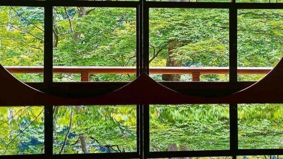 日本九州【福岡*天神市*郵輪接駁景點定制】導遊*地陪*導覽