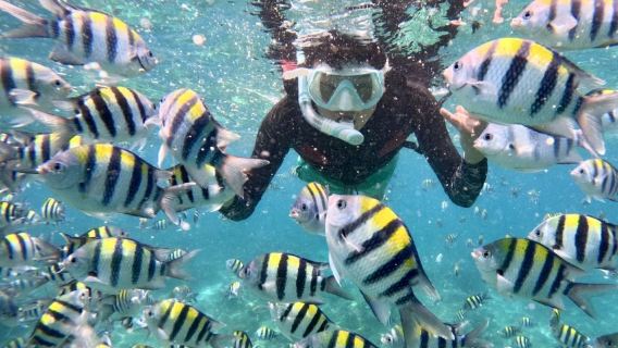 Wanning [Snorkeling Bebas di Pulau Jiajing] lawatan sehari + bermain bila-bila masa + gambar dan video bawah air percuma