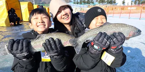 首尔出发|平昌鳟鱼节冰钓+三养牧场雪景一日游