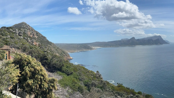 Passeio de um dia pela Montanha da Mesa, Praia dos Pinguins e Cabo da Boa Esperança com partida da Cidade do Cabo, África do Sul