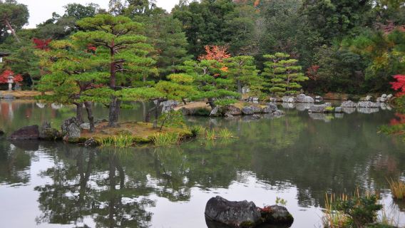 日本大阪來回京都+嵐山+三千院+金閣寺【中文包車上門接】