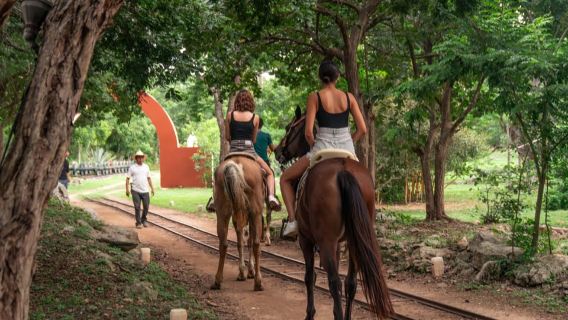 Mérida: Jungle & Cenotes Tour with Horseriding & Lunch
