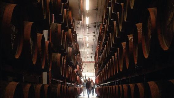 Guided Tour at Ron Arehucas Distillery