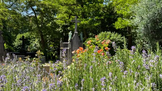 Köln: Geführte Tour über den Melatenfriedhof