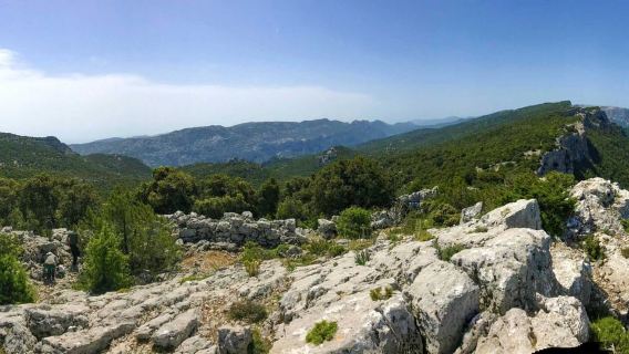 Balade à dos d'âne dans la forêt de Suttaterra depuis Dorgali