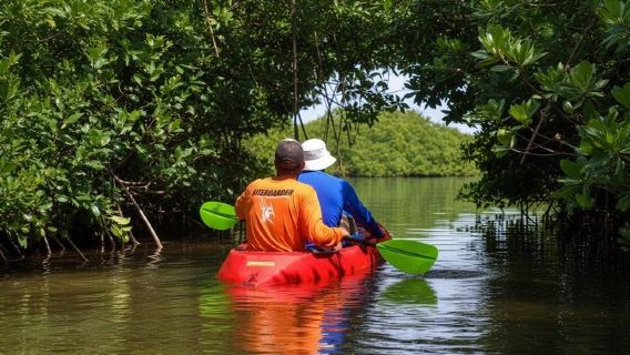 Passeio de Caiaque de Fundo Transparente e Snorkel pelos Manguezais