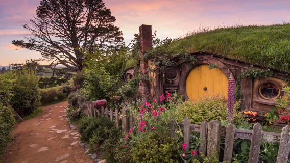 Экскурсия по Хоббитону, Северный остров, Новая Зеландия [экскурсия с гидом на китайском/английском языке по желанию + входной билет включен]