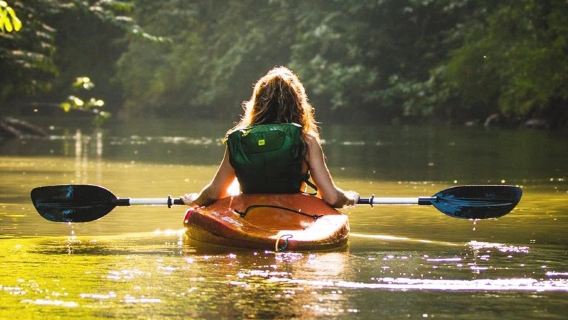 Northern Phu Quoc Island kayaking experience + Starfish Beach + Forest Park + Bee Farm 1-day tour