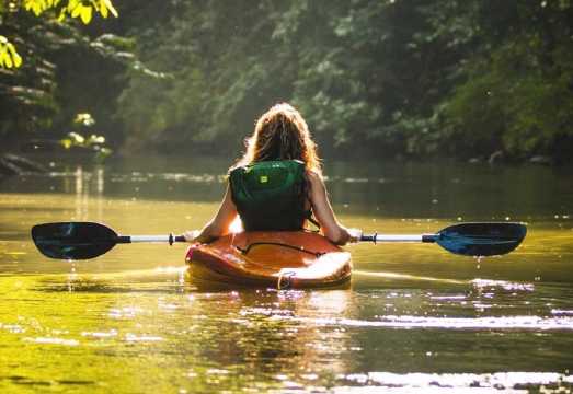 Northern Phu Quoc Island kayaking experience + Starfish Beach + Forest Park + Bee Farm 1-day tour