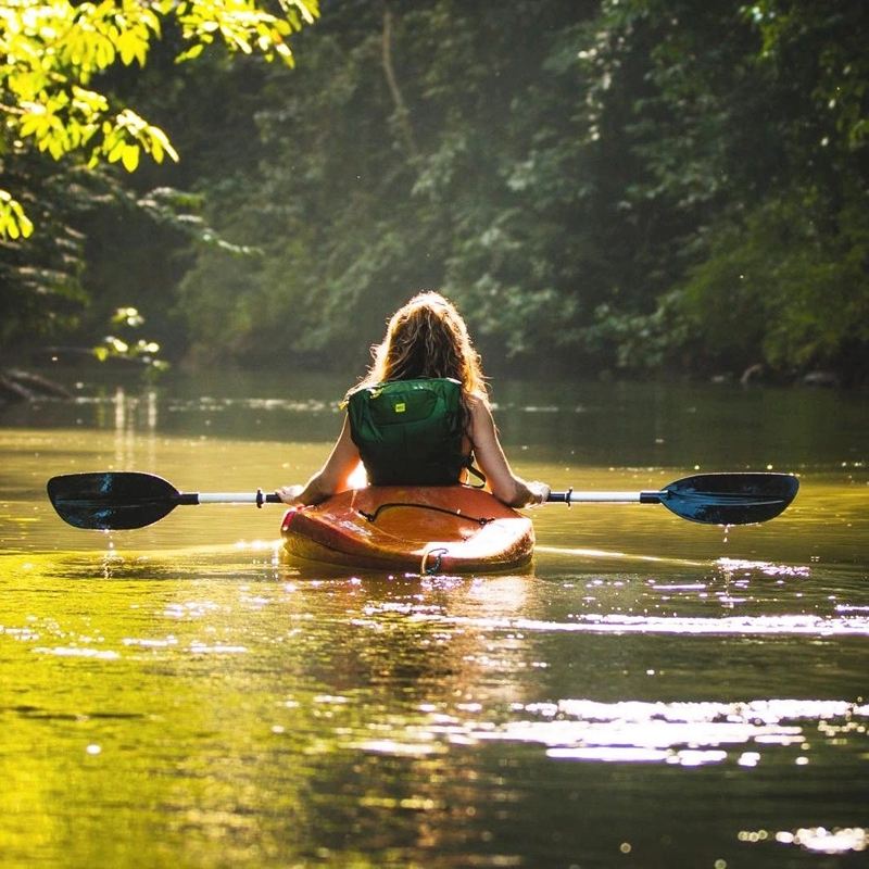 Northern Phu Quoc Island kayaking experience + Starfish Beach + Forest Park + Bee Farm 1-day tour