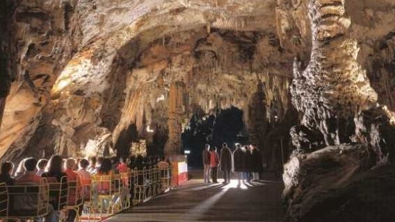 Highlights of Slovenia - Postojna, Predjama & Lake Bled