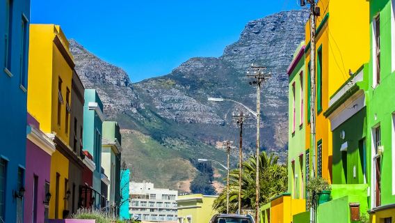케이프타운 & 테이블마운틴: 가이드 투어 + 왕복 교통편