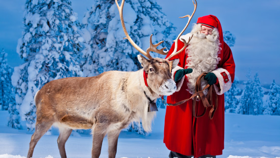 Rovaniemi senior Village 1-day tour[Chinese/English/Small Group of 8 Available]