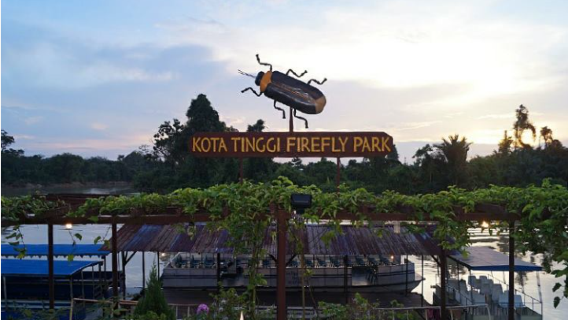 Bandar PenawarTours