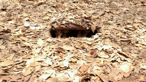 Cu Chi Tunnels Half-Day Luxury Tour From Ho Chi Minh City