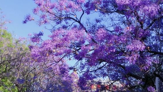 Kunming