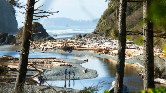 Olympic National Park one-day tour in Seattle, USA (12-person English-speaking group) with light meals