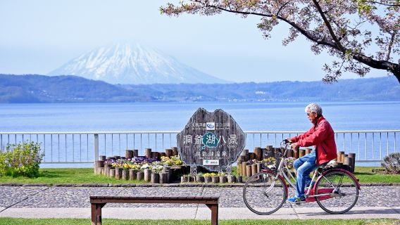 Excursion d'une journée à la vallée de l'enfer de Noboribetsu, au lac Tōya et à Otaru, les huit vues du lac Tōya, le canal d'Otaru