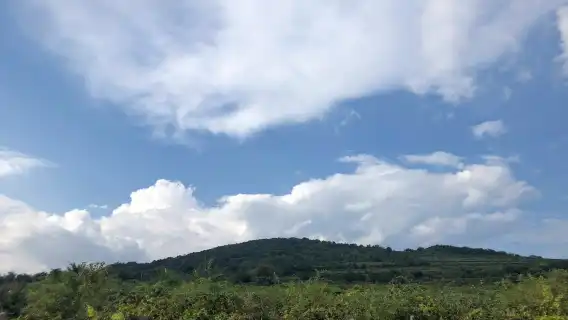 Degustation of organic wines tour from Bratislava