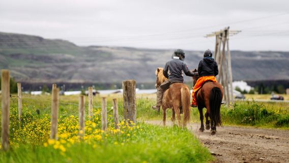 Iceland: Horseback Riding - Countryside Tour