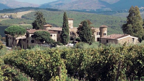 Chianti: Wine & Olive Oil Tasting with Guided Tour + Roundtrip from Florence