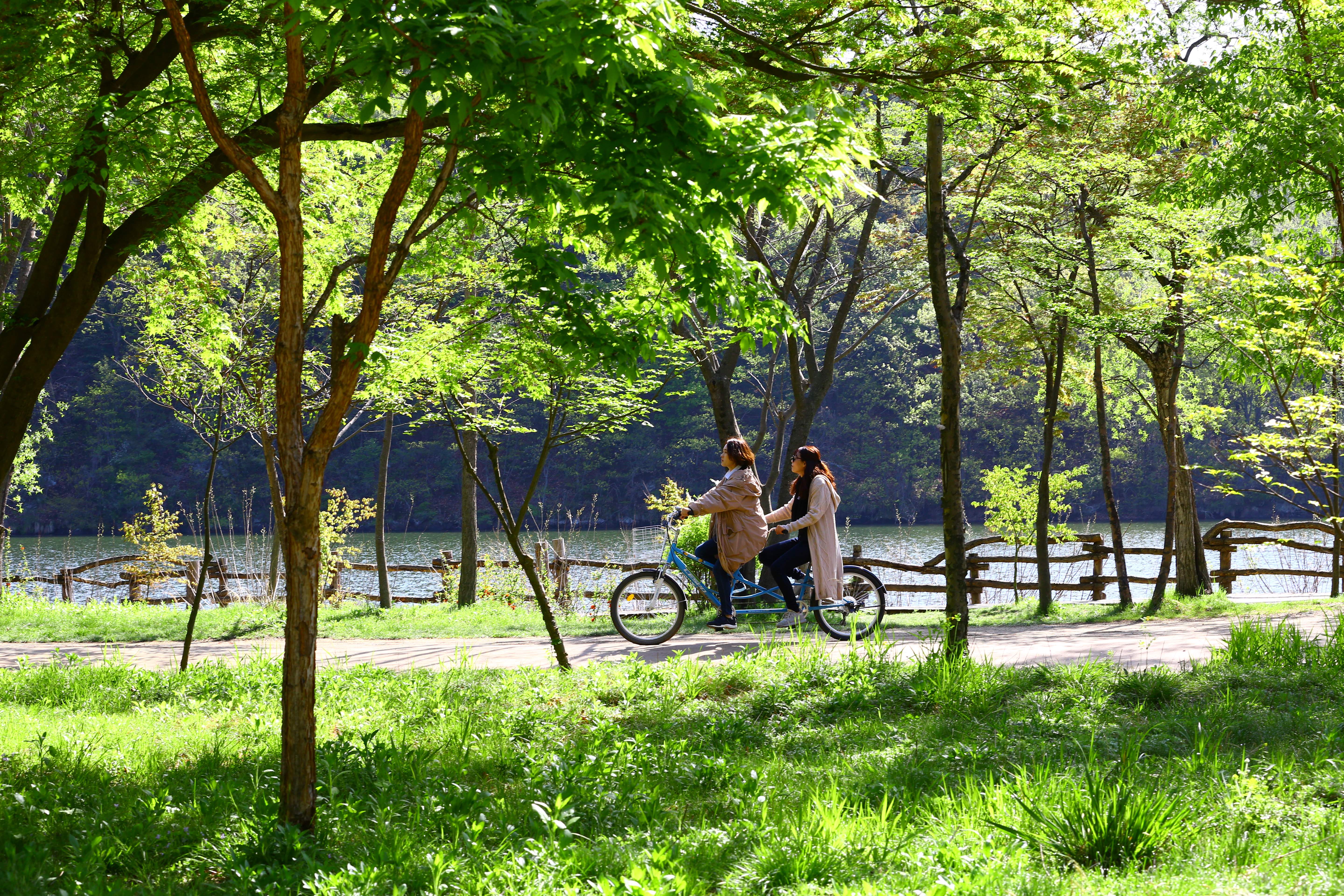 Tur Sehari ke Pulau Nami + Desa Italia Kecil di Prancis [Berangkat dari Seoul • Pemandu Wisata Bahas