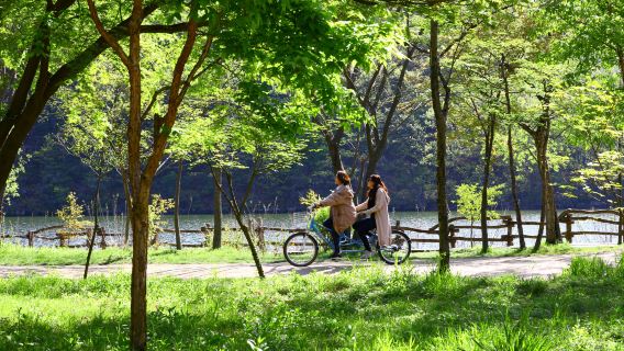 Nami Island + Petite France & Italian Village One Day Tour (From Seoul, English Guide)