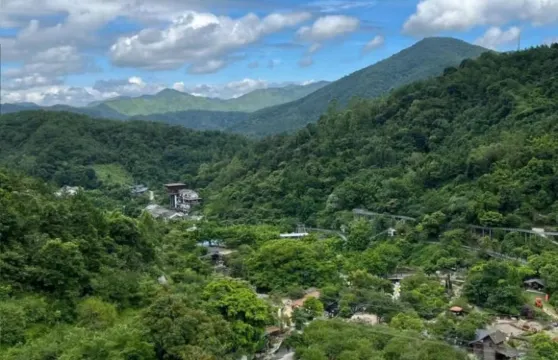 雲浮國恩寺+龍潭湖+六祖故里+天露山一日遊-可中英文服務