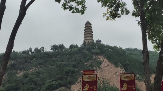 延安寶塔山+王家坪紀念館+楊家嶺革命舊址+棗園革命舊址一日遊