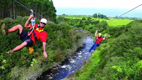 Hakalau: 9-Linien-Zipline-Abenteuer mit Blick auf die Umauma-Wasserfälle
