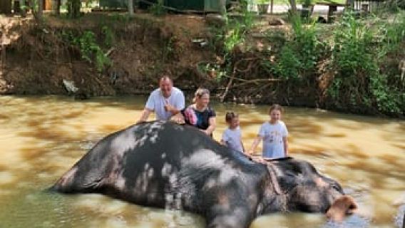 Colombo To Pinnawala & Kandy Luxury Day Tour by Car/Van/Bus