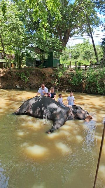 Excursión de lujo de un día de Colombo a Pinnawala y Kandy en coche, furgoneta o autobús