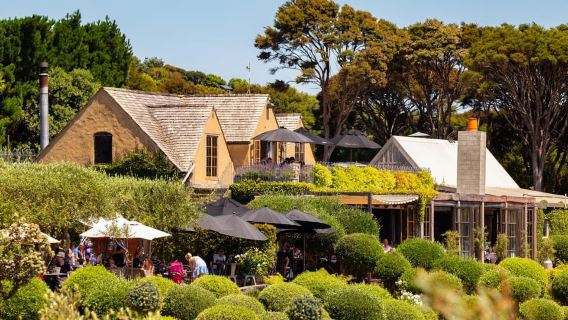 Waiheke IslandTours
