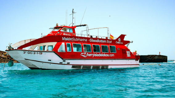 Fuerteventura: mini crociera di 1 ora con nuoto e snorkeling