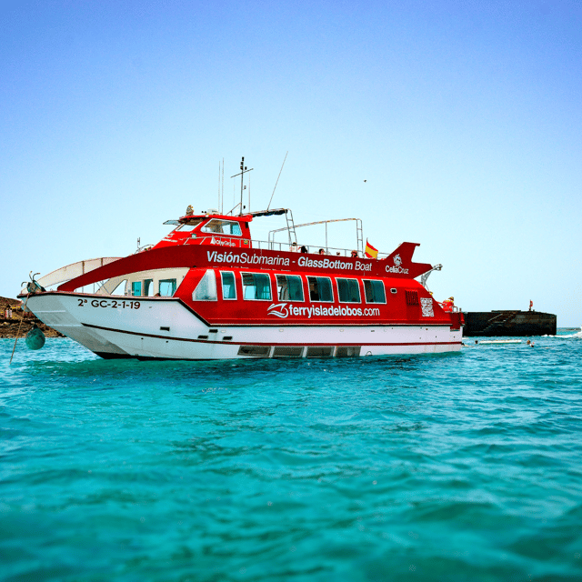 富埃特文圖拉島：1 小時迷你游泳與浮潛巡遊