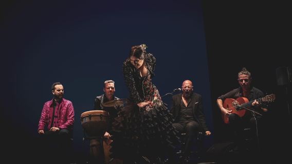 Flamenco Show at La Guarida del Angel with Drink