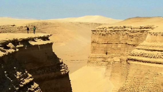 From Ica || Full Day Excursion to the Los Perdidos Canyon ||