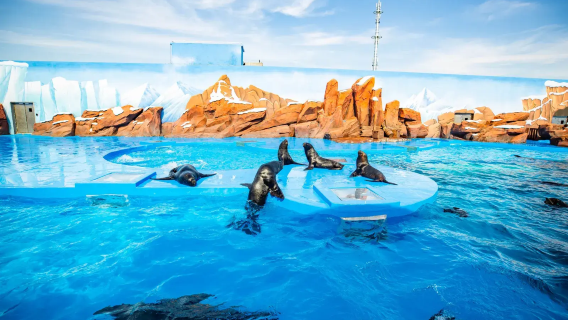 Shanghai Disneytown + Shanghai Haichang Park + Huangpu-Fluss Bootsfahrt [Exklusiver Familien-Service in Shanghai]