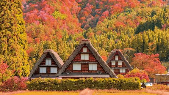 однодневный тур из Нагоя в Такаяма и Сиракава-го (группа до 9 человек)|Трансфер от/до отеля (по желанию)